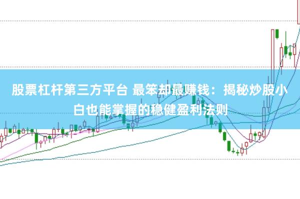 股票杠杆第三方平台 最笨却最赚钱：揭秘炒股小白也能掌握的稳健盈利法则