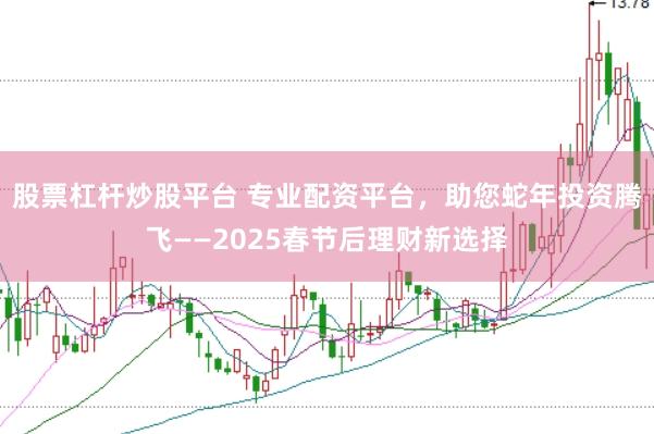 股票杠杆炒股平台 专业配资平台，助您蛇年投资腾飞——2025春节后理财新选择