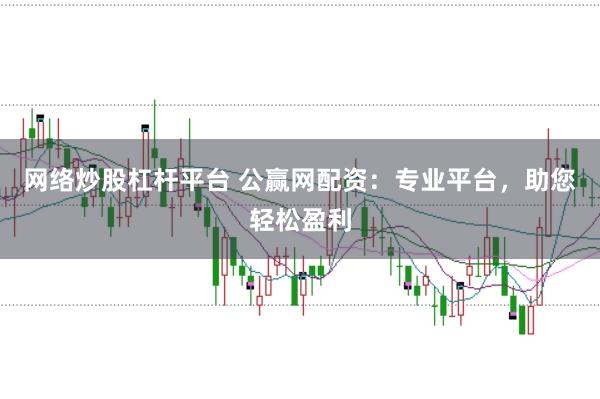 网络炒股杠杆平台 公赢网配资：专业平台，助您轻松盈利