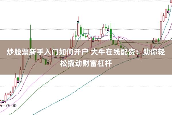 炒股票新手入门如何开户 大牛在线配资：助你轻松撬动财富杠杆