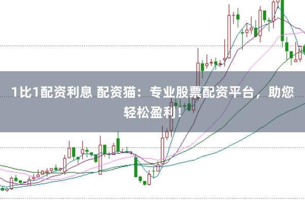 1比1配资利息 配资猫：专业股票配资平台，助您轻松盈利！
