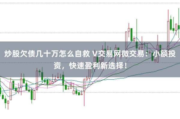 炒股欠债几十万怎么自救 V交易网微交易：小额投资，快速盈利新选择！