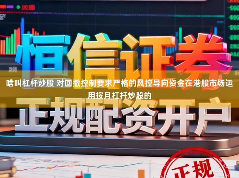 啥叫杠杆炒股 对回撤控制要求严格的风控导向资金在港股市场运用按月杠杆炒股的
