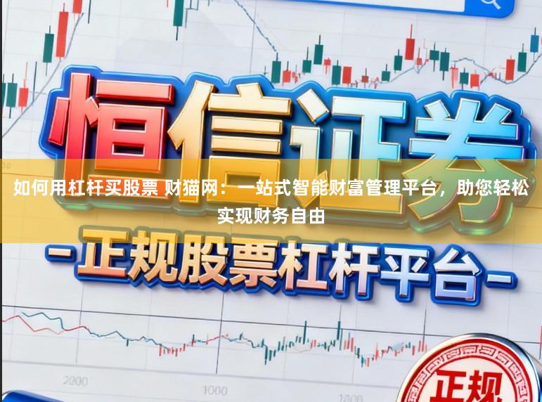 如何用杠杆买股票 财猫网：一站式智能财富管理平台，助您轻松实现财务自由