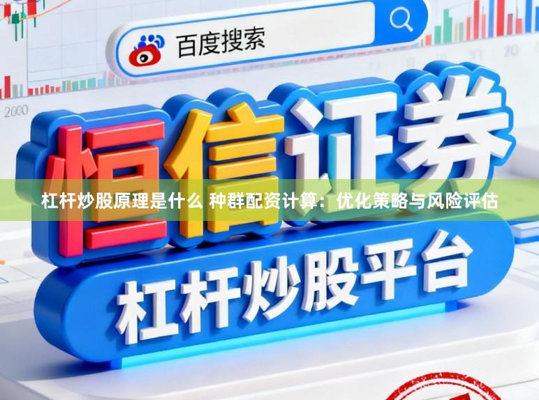杠杆炒股原理是什么 种群配资计算：优化策略与风险评估